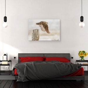 Tablou canvas - Cu Furtuna De Zapada In Fata, Pasari, Hokkaido, Japonia, 40 x 60 cm - Img 3
