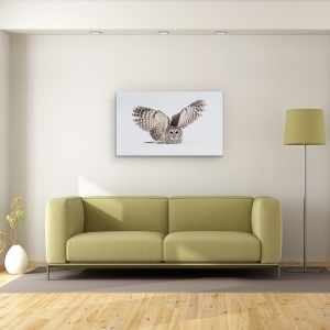 Tablou canvas - Cum Iti Plac Aripile Mele, Bufnita, Salbatic, Zapada, Vanatoare, Pasare, 50 x 80 cm - Img 2