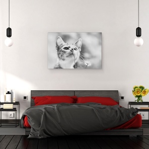 Tablou canvas - Curios, Pisica, Floare, Pet, Dragut, 60 x 90 cm - Img 3