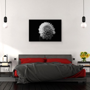 Tablou canvas - Dalia, Dahlia, Floare, Alb-Negru, 60 x 90 cm - Img 3