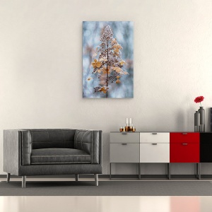 Tablou canvas - Dantela De Iarna, Hortensie, Paniculata, Floare, Seminte, Cap, 40 x 60 cm - Img 2