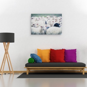 Tablou canvas - Deghizat, Animale, Oi, Miel, Pastor, Caine, 80 x 120 cm - Img 2