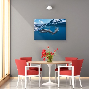 Tablou canvas - Delfinii, Delfin, Delfini, Ocean, Mare, Sub Apa, 60 x 90 cm - Img 4