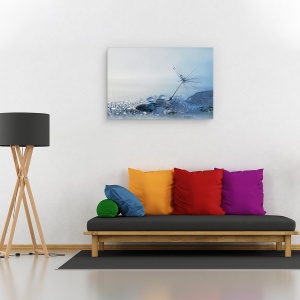 Tablou canvas - Dimineata Albastra, Seminte, Apa, Pana, Picaturi, 40 x 60 cm - Img 2
