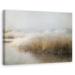 Tablou canvas - Dimineata De Iarna, Rece, Reed, Iarba, 60 x 90 cm