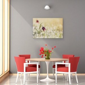 Tablou canvas - Dimineata, Olanda, Floare, Roua, Dimineata, Macro, 60 x 90 cm - Img 4