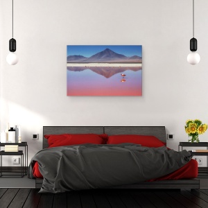 Tablou canvas - Dimineata Roz, Natura, Animal, Pasare, Flamingo, Salbatic, 40 x 60 cm - Img 3
