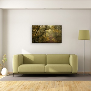 Tablou canvas - Dincolo De Vise Si Culoare, Pasiune, Peisaj, Padure, Vara, Cale, 50 x 80 cm - Img 2