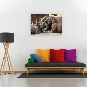 Tablou canvas - Distractie Pe Apa, Elefanti, Joaca, Prietenie, Fericit, 80 x 120 cm - Img 2