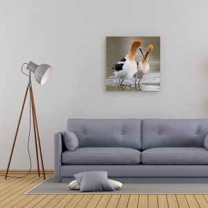 Tablou canvas - Dragostea Trece, Cioc, Salbatic, Natura, 90 x 90 cm - Img 2