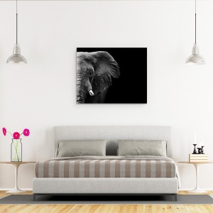 Tablou canvas - Elefant, Animale, Africa, Alb-Negru, Intuneric, 60 x 75 cm - Img 3