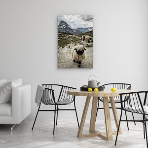 Tablou canvas - Eliberati-Mi Drumul, Oi, Valais, Blacknose, Matterhorn, Riffelsee, 60 x 90 cm - Img 4
