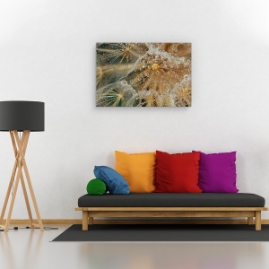 Tablou canvas - Fara stele, Flori, Picaturi, Roua, Pene, 60 x 90 cm - Img 2