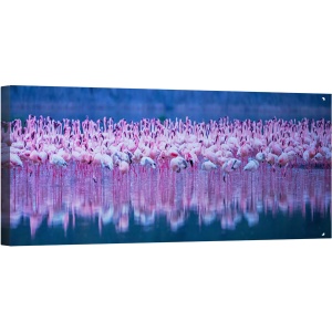 Tablou canvas - Flamingo, Bogoria, Kenya, Rasarit de Soare, Pasare, Panorama, 30 x 90 cm