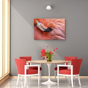 Tablou canvas - Flamingo , Nature, Pasare, Roz, Pene, 80 x 120 cm - Img 4