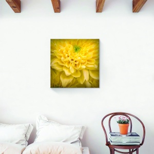 Tablou decorativ modern living cu floare galbenă pe canvas 60x60 cm