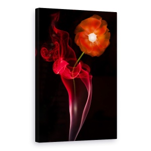 Tablou canvas - Floare Rosie, Alb-Negru, Floare, Vaza, Fum, 60 x 90 cm
