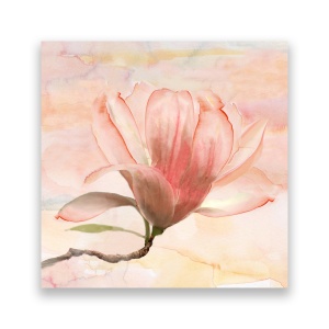 Tablou Canvas - Floral, Flori, Magnolia, 60 x 60 cm