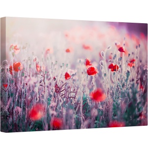 Tablou canvas - Flori de Maci, Maci, Lunca, Flori Salbatice, Prim-Plan, 80 x 120 cm