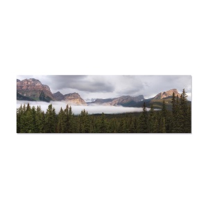 Tablou Canvas - Flori, Floare, Rosu, Primavara, 50 x 150 cm