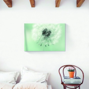 Tablou decorativ flori papadie canvas, dimensiuni 60x90 cm