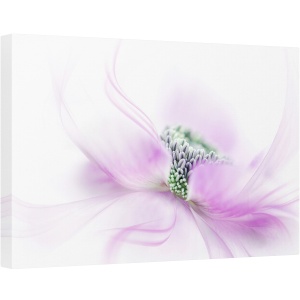 Tablou canvas - Flux, Floare, Roz, 40 x 60 cm