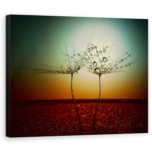 Tablou Canvas - Foc si Apa, Natura Statica, Rosu, Bland, 60 x 75 cm