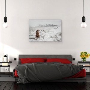 Tablou canvas - Furtuna De Zapada, Islanda, Caine, Animal, Singur, Munte, 60 x 90 cm - Img 3