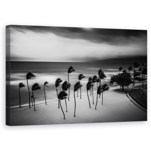 Tablou canvas - Furtuna Tropicala, Peisaj, Vant, Batut De Vant, Vremea, Sufla, 50 x 80 cm