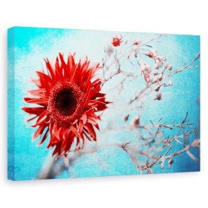 Tablou canvas - Galbenele, Flori, Inflorit, Galben, 80 x 120 cm