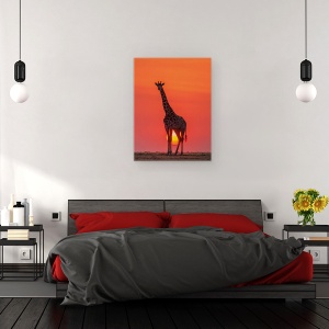 Tablou canvas - Girafa In Apus De Soare, Salbatic, Kenya, Salbatic, 75 x 100 cm - Img 3