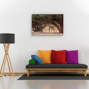 Tablou canvas - Girafa - Namibia, Nature, Africa, Peisaj, Safari, 60 x 90 cm - Img 2