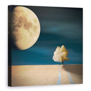 Tablou canvas - Gmo, Bax, Baxteria, Piotr, Krol, Ir, 90 x 90 cm
