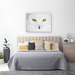 Tablou canvas - Hipnoza, Natura, Salbatic, Animale, Pasari, Pene, 50 x 70 cm - Img 3