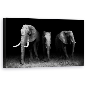 Tablou canvas - Iesind Din Intuneric, Elefant, Animale, Africa, Monocrom, Safari, 50 x 100 cm