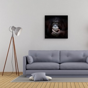Tablou Canvas - Imaginea In Oglinda, Zambet, Maimuta, Fericit, Bucurie, 60 x 60 cm - Img 2