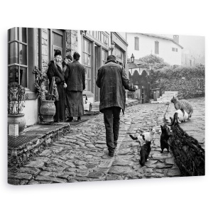 Tablou canvas - Imparte Cu Prietenii, Strada, Oameni, Alb-Negru, Alb-Negru, Pisici, 60 x 90 cm
