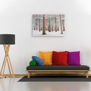 Tablou canvas - In Alb, Peisaj, Zapada, Inghet, Copac, Padure, 40 x 60 cm - Img 2