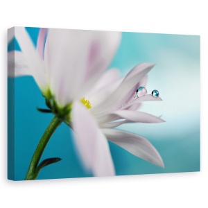 Tablou canvas - In Compania Turcoaz, Floare, Flora, Floral, Picatura, Picaturi, 60 x 90 cm