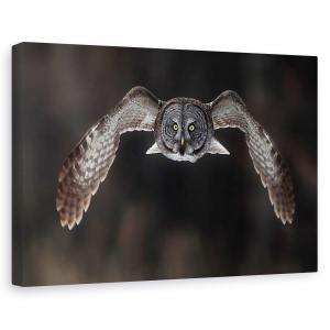 Tablou decorativ canvas natură cu păsări și bufniță gri 40x60 cm
