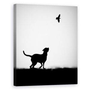 Tablou canvas - Indiciul, Alb-Negru, Grafic, Caine, Pasare, 40 x 50 cm