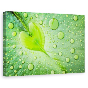 Tablou canvas - Inima, Abstract, Picatura, Frunze, Verde, 60 x 90 cm