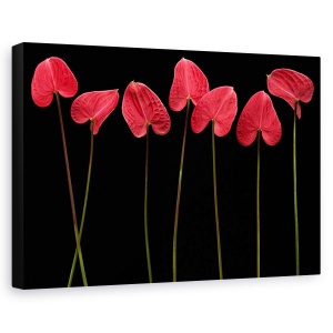 Tablou canvas - Inimi Botanice, Floare, Natura Moarta, Rosu, 60 x 90 cm