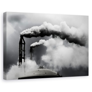 Tablou canvas - Inspectia Zilnica, Poluare, Alb-Negru, Industrie, Cer, 40 x 60 cm