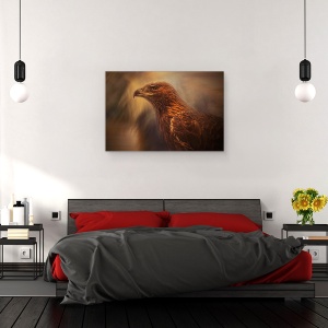 Tablou canvas - Instinct, Pasare, Animal, Vultur, Animale, 40 x 60 cm - Img 3