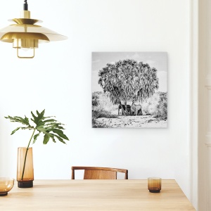 Tablou canvas - Intalnire La Pranz, Kenya, Tsavo, Est, Umbra, 60 x 60 cm - Img 4