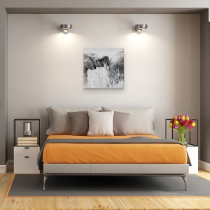 Tablou canvas - Itrunk, Elefanti, Distractie, Amuzant, Umor, 90 x 90 cm - Img 3