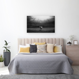 Tablou canvas - Ivirea Diminetii, Cal, Animal, Camp, Alb-Negru, 50 x 80 cm - Img 3