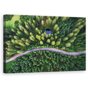 Tablou Canvas - Lac Ascuns, Drona, Rutier, Padure, Lac, Drum, 50 x 80 cm