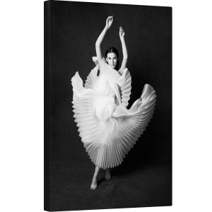 Tablou canvas - Lacul Lebedelor, Portret, Lacul Lebedelor, Inger, Rochie, Moda, Alb-Negru, 40 x 60 cm